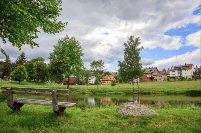 Living Timeless- Black Forest Style- Schoenwald Exterior foto